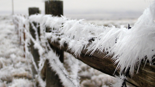 Cea mai scazut temperatura din acest an! MINUS 26 DE GRADE, la Miercurea Ciuc!