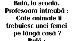 Banc tare cu Bulă | Profesoara îl întreabă: "Câte animale îi trebuiesc unei femei pe lângă casă?"