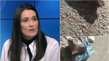 O stradă din Sectorul 1, invadată de viermi. Primarul Clotilde Armand, desființată de Dana Budeanu