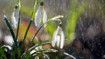 Prognoza meteo azi, 7 aprilie 2026. Vremea se răcește brusc în Marțea Mare: ploi, lapoviță și ninsori în aceste zone din România