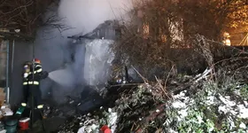 Galerie foto - poza 1