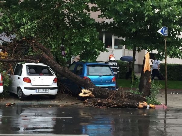Ploaia a făcut ravagii în Capitală: 21 de copaci căzuți, 13 mașini avariate și șase gospodării inundate