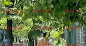 Galerie foto - poza 4