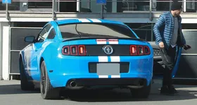 Galerie foto - poza 3