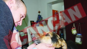 Cainele torturat de taximetrist, adoptat de un ziarist