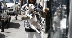 Galerie foto - poza 2