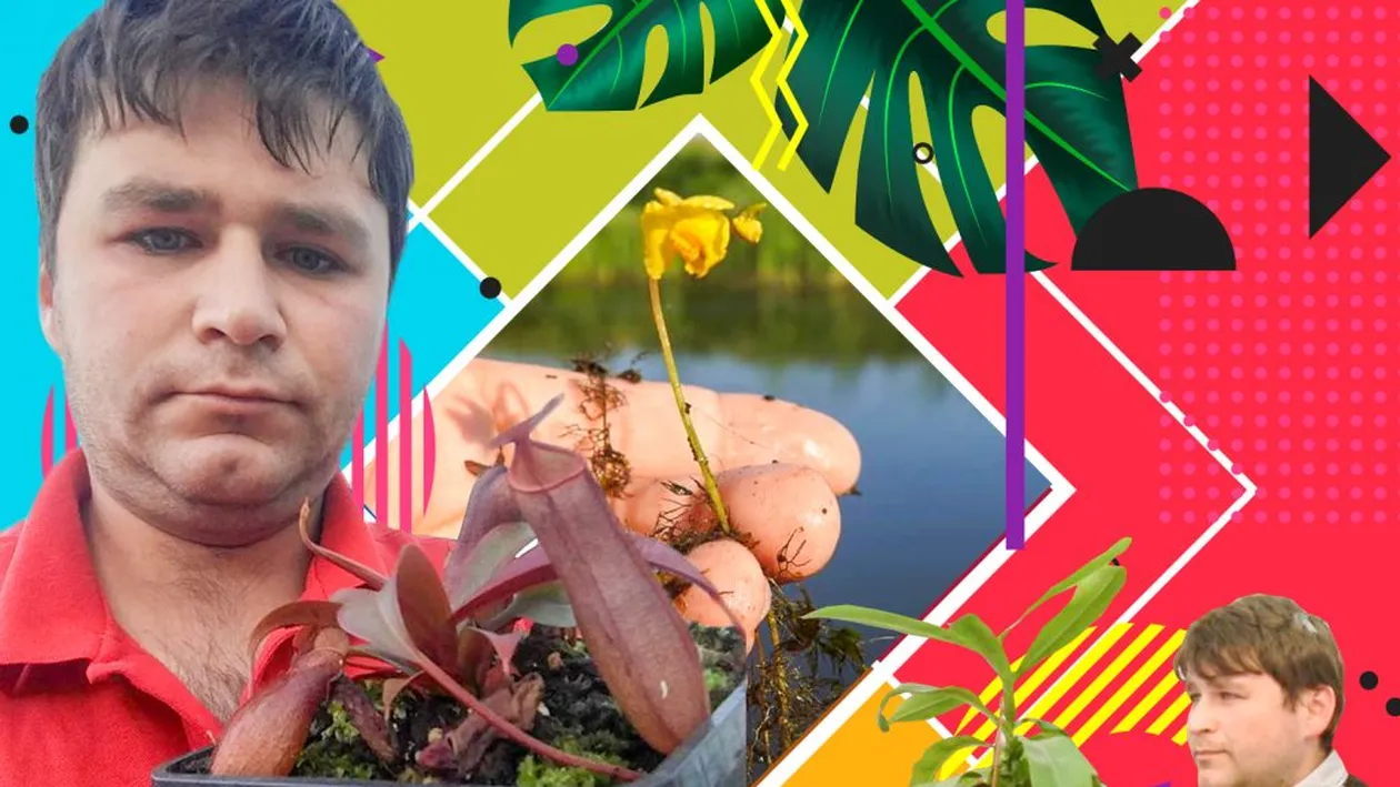 Adrian Danciu a descoperit o plantă carnivoră pe un canal din Satu Mare!