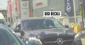 Galerie foto - poza 1