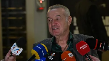 Gestul impresionant făcut de Gigi Becali pentru imigranții din Capitală: ”Vin după mine, că și-au dat vorbă între ei”
