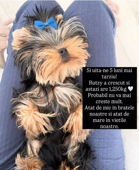 Andreea Bănică trece prin momente cumplite. „Viața mă pune din nou față în față cu cea mai mare teamă”