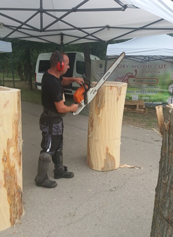 Sculptorii au pornit drujbele în parc