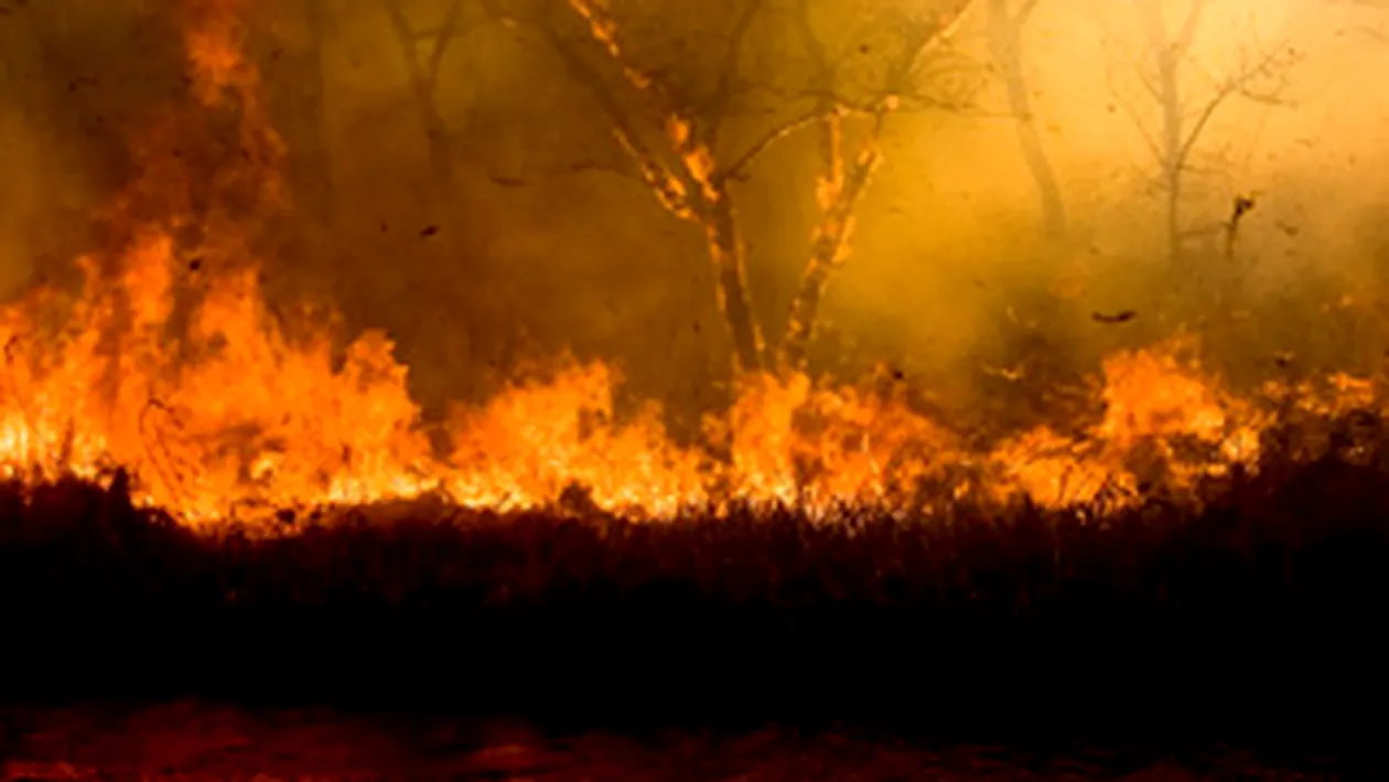 Incendiu de padure violent in estul Greciei