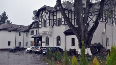 Panică la Spitalul de Psihiatrie Voila din Prahova! Un urs a intrat în curte, după ce a sărit peste un gard de beton