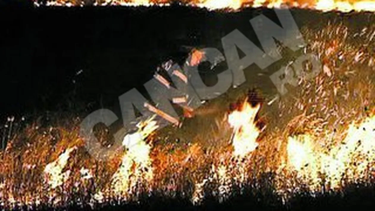 Au ars 300 de hectare din Biosfera Delta Dunarii