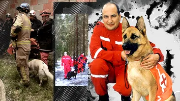 Povestea câinilor-eroi de la Craiova