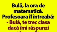 BANC | Bulă, la ora de matematică. Profesoara îl întreabă