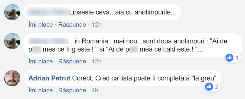 Directorul e de părere că textul despre "Flexibilitatea cuvântului P..." necesită completări serioase