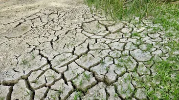 Regiuni întregi vor deveni de nelocuit în următoarele decenii. Care este motivul