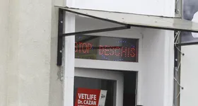 Galerie foto - poza 3