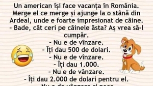 BANCUL ZILEI | Americanul și vacanța în România