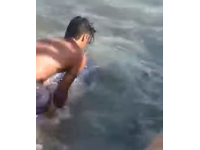 Scene revoltătoare pe o plajă cunoscută din Grecia. Mai mulți turişti au fost filmaţi în timp ce omorau un peşte-spadă cu pietre