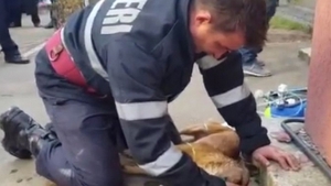Pompierul erou a trecut prin momente cumplite! Nimeni nu ştia asta