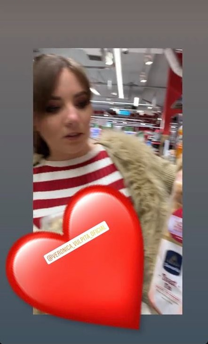 Cum a fost surprinsă Vulpiţa într-un supermarket din Bucureşti! Cu haină de blană la 30 de grade şi… Oamenii au crezut că nu văd bine