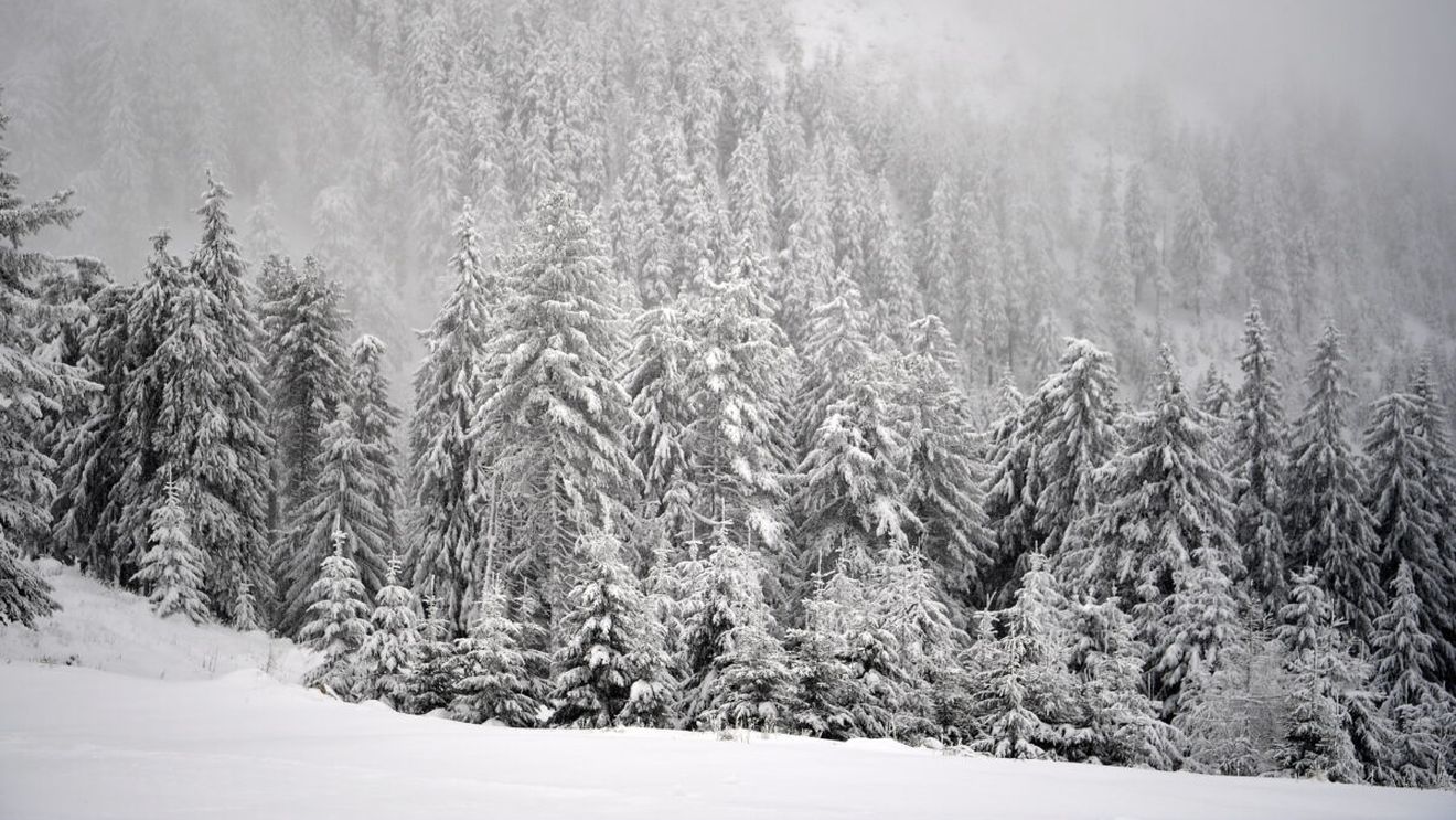 Informația care dă peste cap ancheta în cazul lui George, tânărul dispărut în Munții Bucegi. Salvamontiștii din Brașov au făcut totul public!