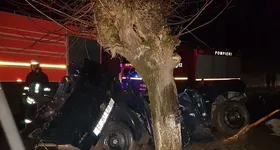 Galerie foto - poza 1