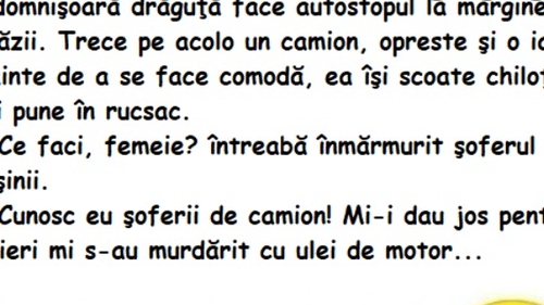 BANC | O domnișoară drăguță face autostopul la marginea străzii....