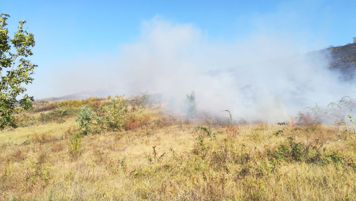 Incendiu puternic la Iași! Este afectată o suprafață de 50 de hectare