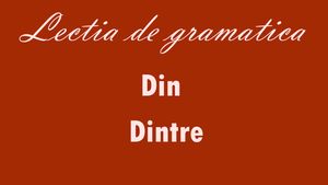 Când se folosește „din” și când „dintre”. Greșeala pe care o fac mulți