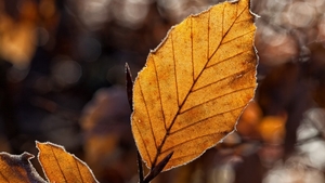 Meteo 26 septembrie. Prima brumă din această toamnă. Temperaturile scad