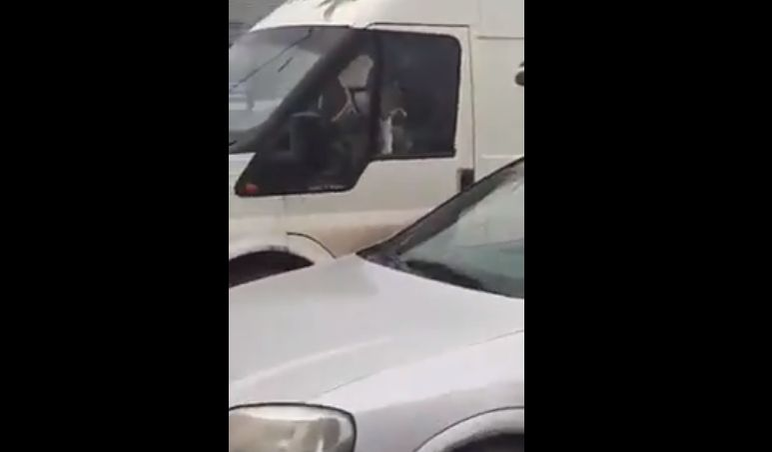 Cineva claxona în continuu, în parcarea unui supermarket! Când s-au dus să vadă despre ce era vorba, nu le-a venit să creadă cine era, de fapt, la volan. Întâmplarea a devenit virală