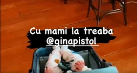 Galerie foto - poza 1