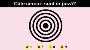 Test IQ | Numai geniile adevărate văd câte cercuri sunt în această poză, în doar 5 secunde!