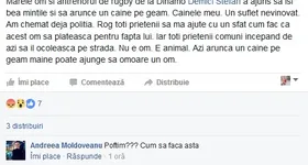 Galerie foto - poza 2