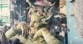 Galerie foto - poza 4