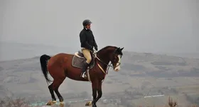 Galerie foto - poza 2