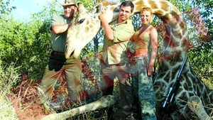 Smecherul de la Paduri vaneaza girafe de 100.000 de euro
