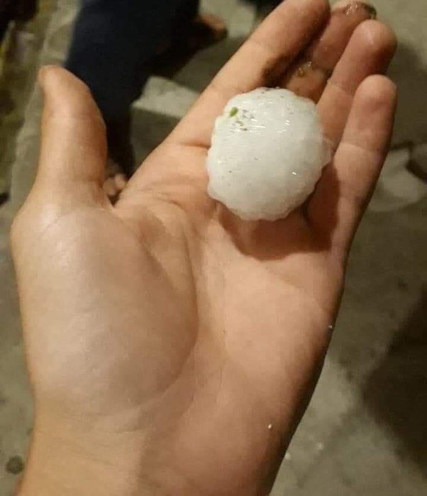 Cultura de pepeni de la Dăbuleni, distrusă de grindină. Fermierii cer ajutorul Guvernului