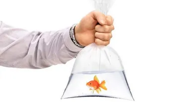 Românii au primit aproape 6.000 de amenzi în primele 24 de carantină totală. Cele mai amuzante scuze folosite