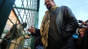 Steven Seagal a adoptat un maidanez din Bucuresti. Grivei l-a cucerit definitiv pe celebrul actor! Uite cum va avea grija de el!