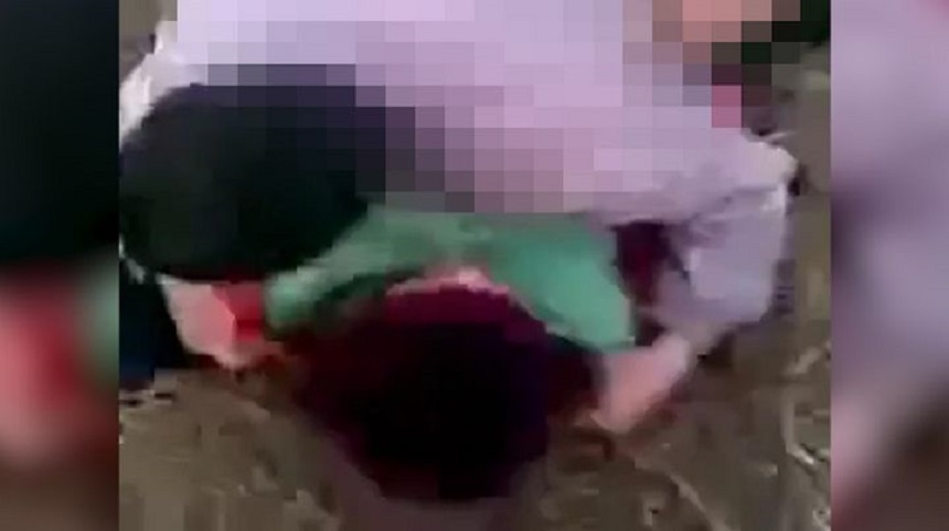Vulpița, filmată în timp ce îl „traduce” pe Viorel
