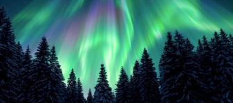 Care este diferența dintre aurora boreală și aurora australă?