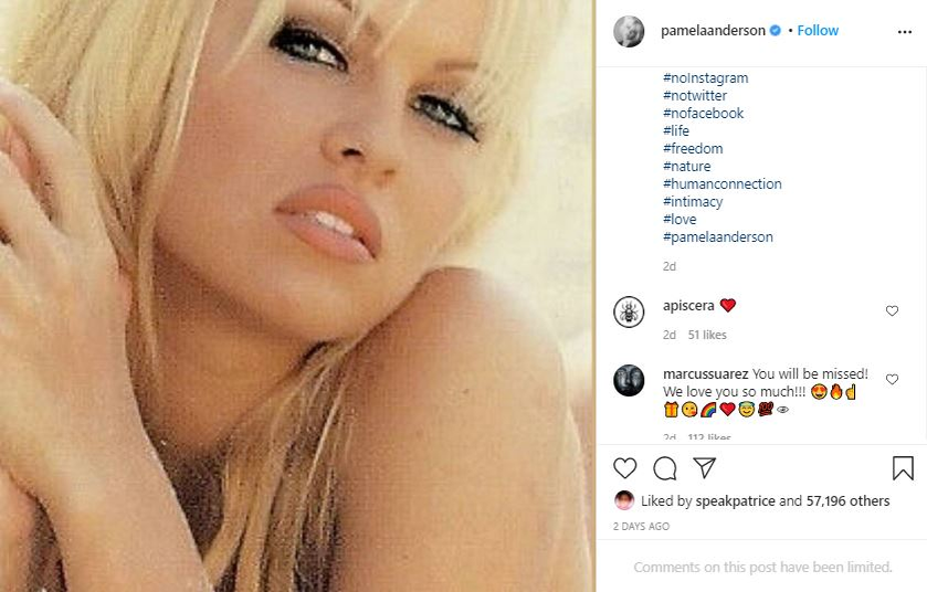Pamela Anderson s-a căsătorit în secret cu Dan Hayhurst! Cum arată rochia pe care actrița a îmbrăcat-o când a devenit mireasă pentru a cincea oară | FOTO & VIDEO
