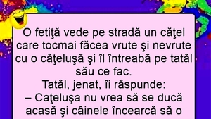 BANC | Tatăl, fetița și cei doi căței