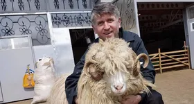 Galerie foto - poza 1