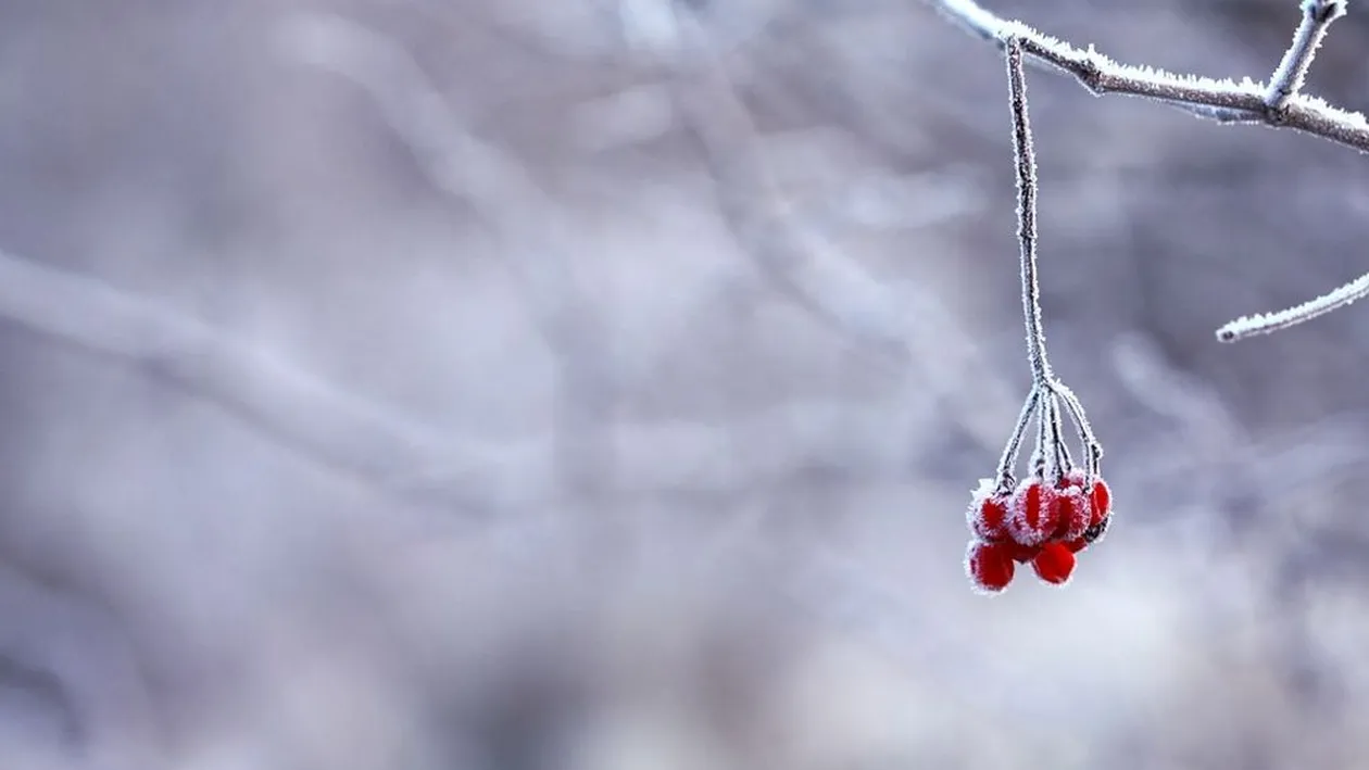 Azi s-au înregistrat primele temperaturi sub 0 grade Celsius din această toamnă!