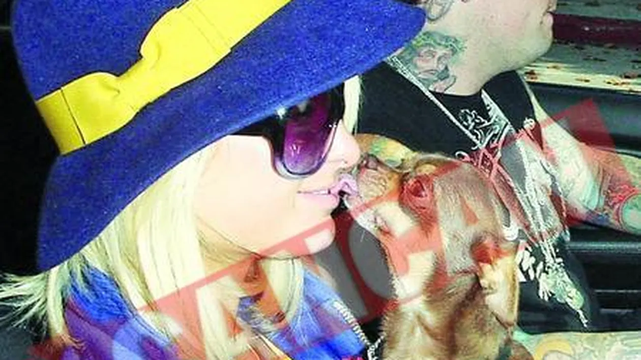 Paris, isterica la pet-shop